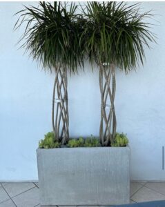 Outdoor pottery Tampa, South Tampa landscaping, Tampa landscape services